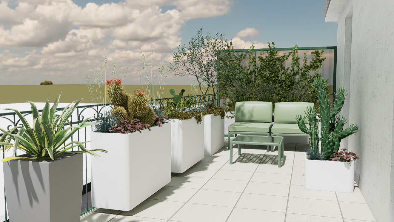 Urban succulents: suggestioni desertiche