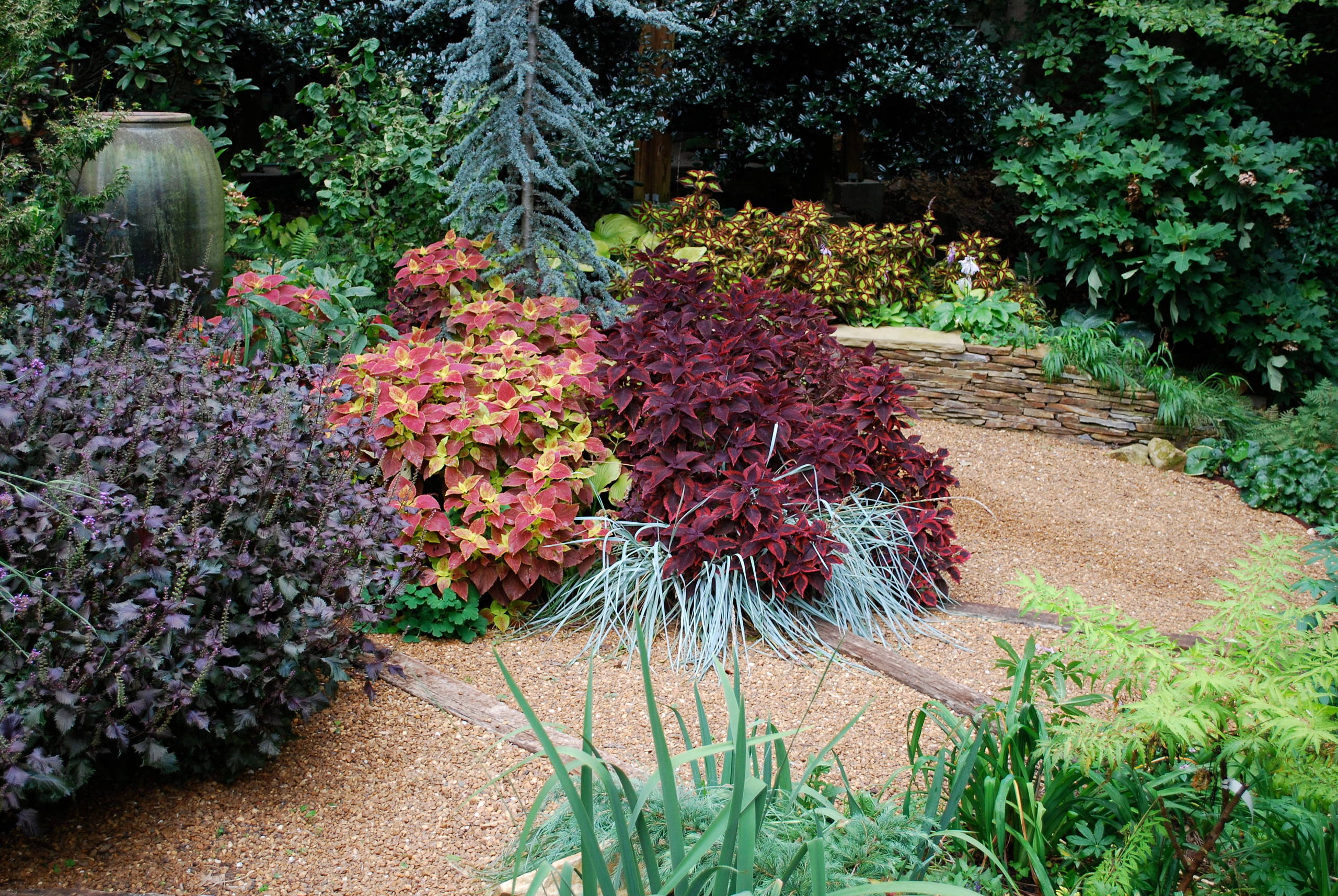 Lawnless front garden.