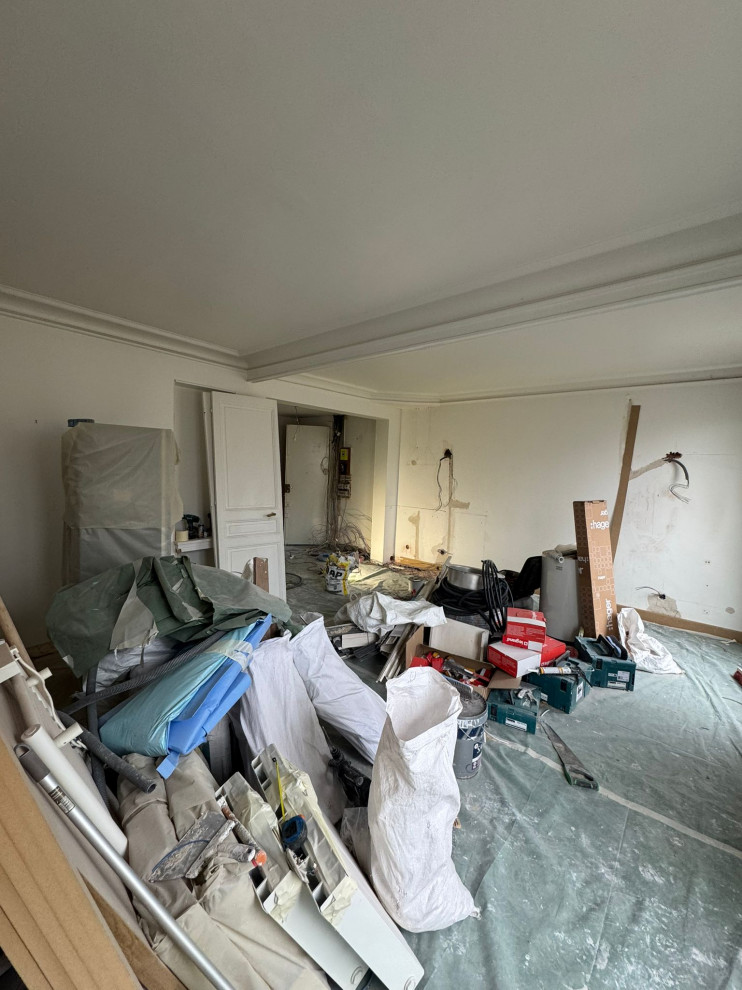 Projet Buttes Chaumont, rénovation d'un appartement de 60m2