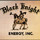Black Knight Energy Inc