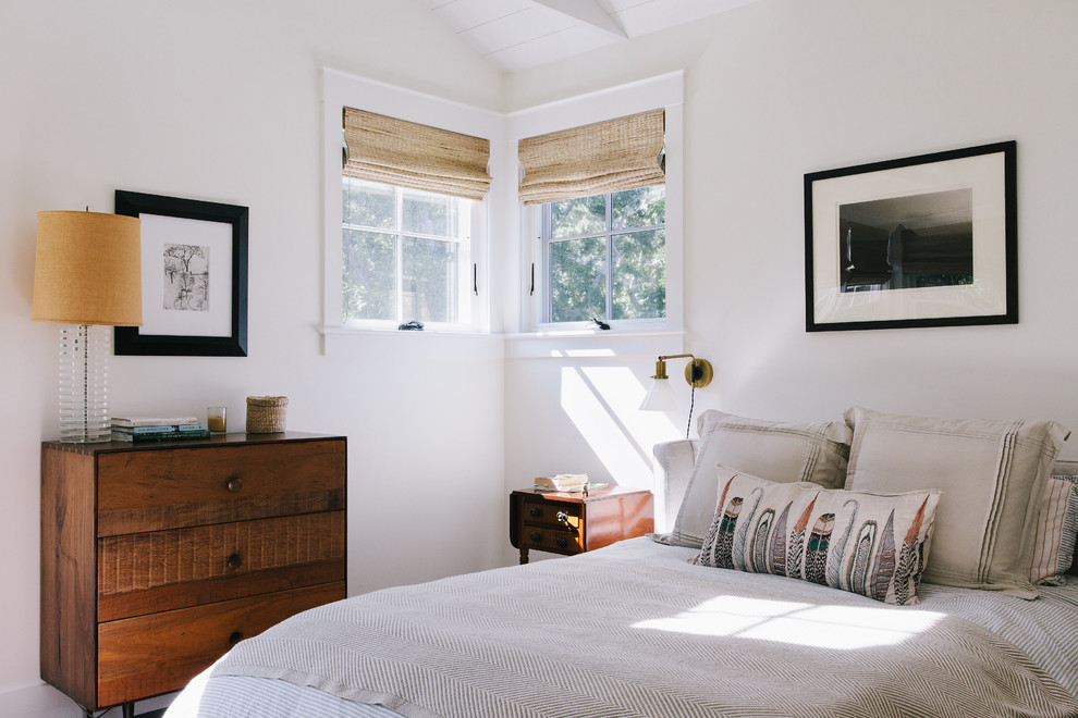 Bedroom - transitional bedroom idea in Boston