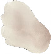 WM