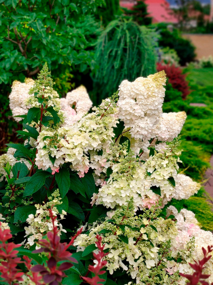 Нижегородский дворик