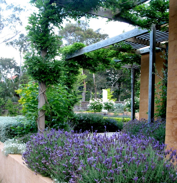 Mountain Delight Traditional Garden Sydney by Arthur Lathouris Garden Designer