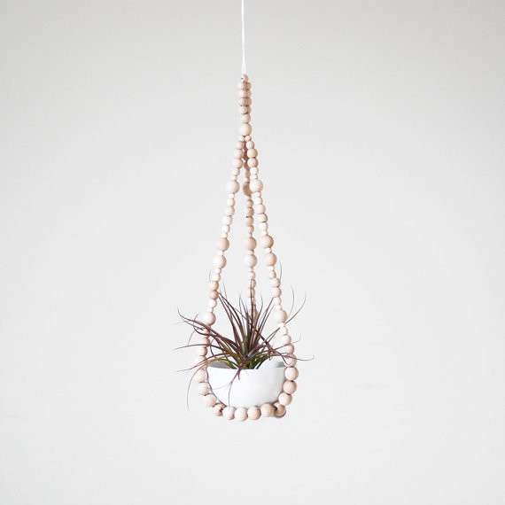 Hanging Air Plant Hanger By AM RADIO