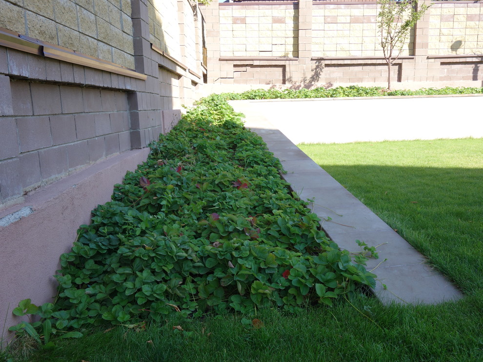 Системы полива