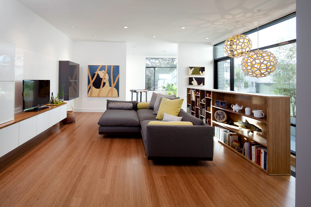 Modern living room in San Francisco with a freestanding tv.