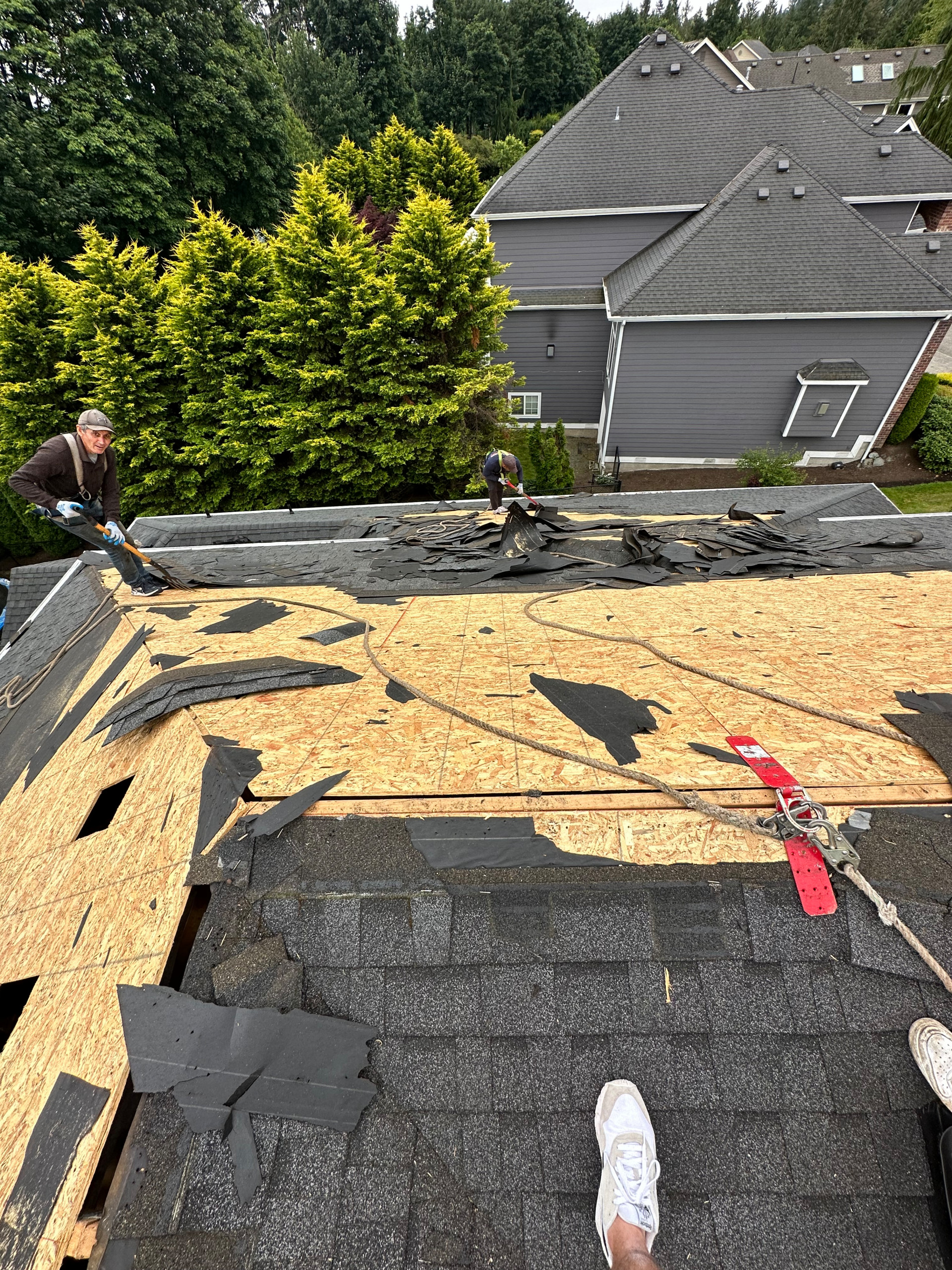 Snohomish Roof - 50+ Squares of roofing