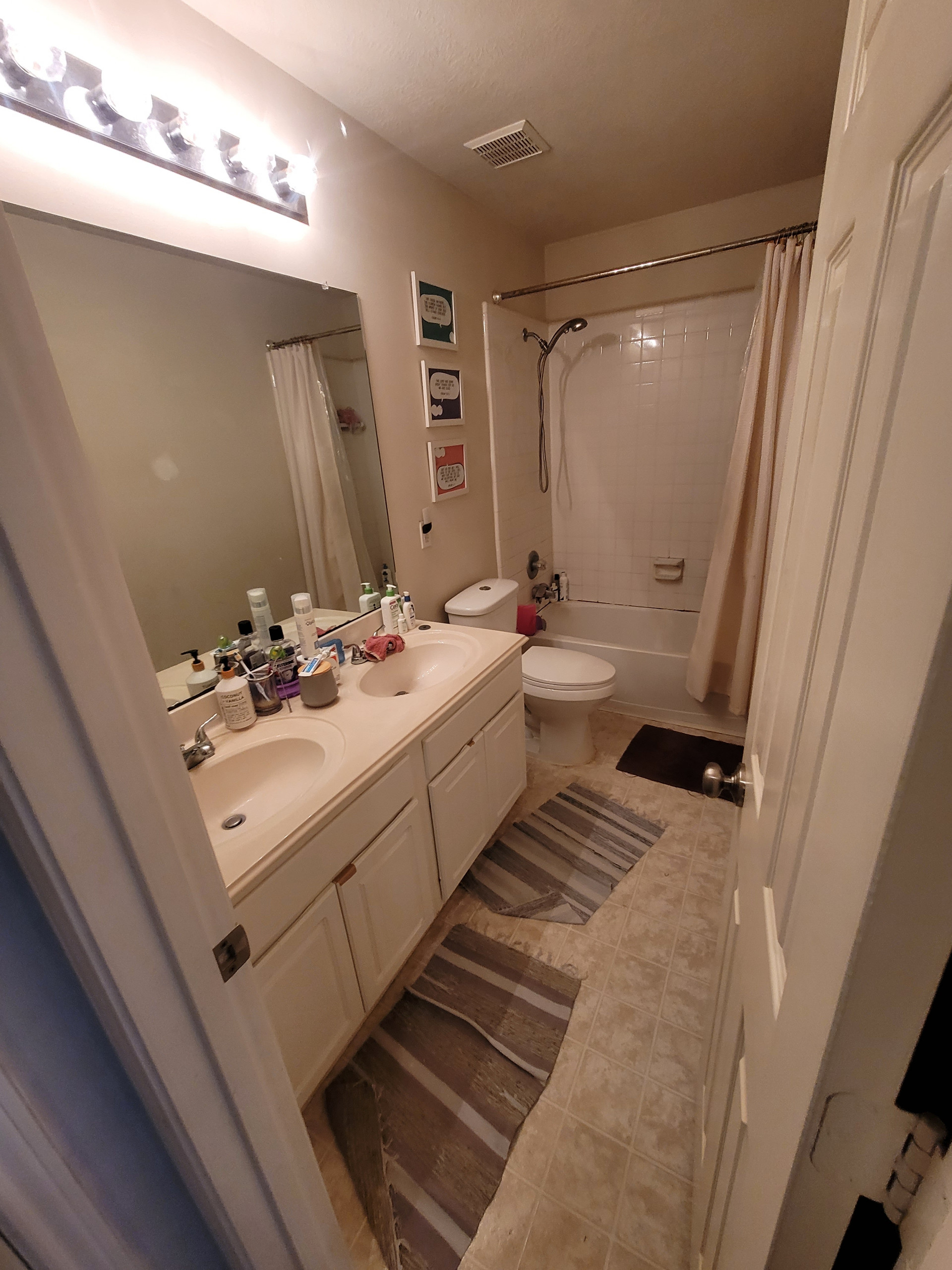 Deer Brook - Master and Hall Bathroom Remodel