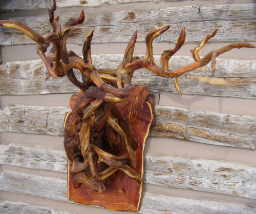 Home design - rustic home design idea