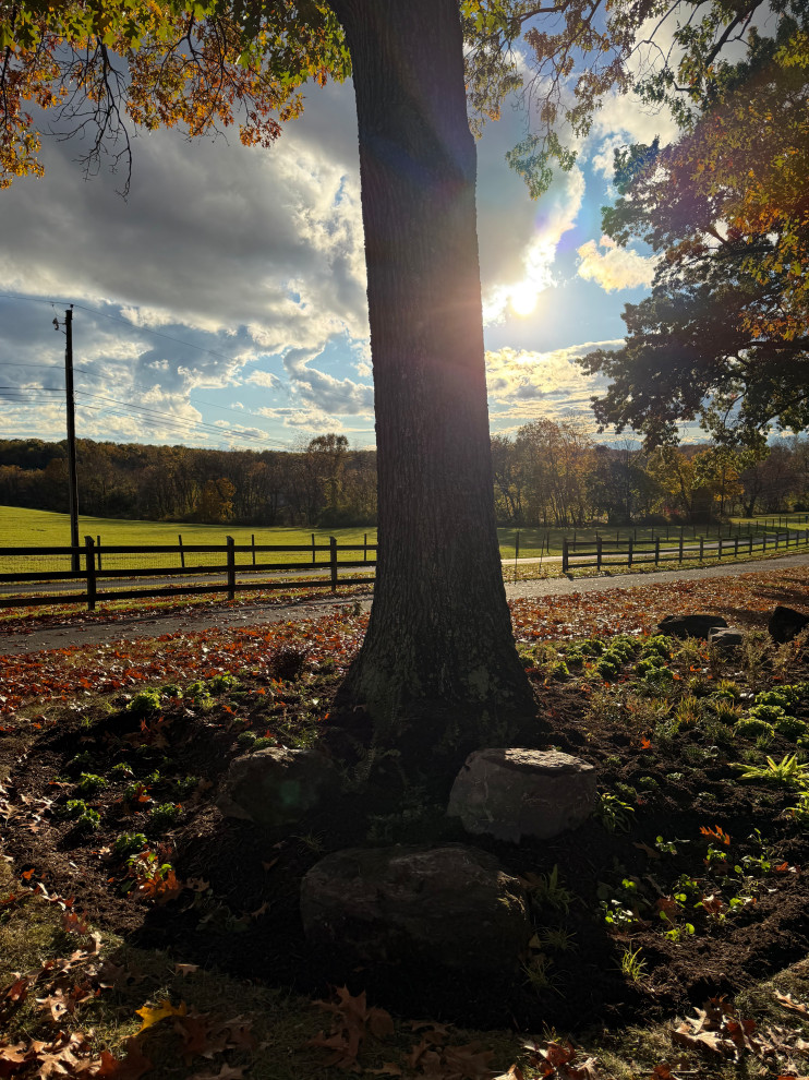 Impactful, serene and native entrance.