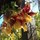 Last commented by Uttara Reddy