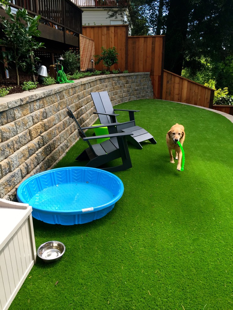 Design ideas for a mid-sized traditional backyard retaining wall landscape in San Francisco.