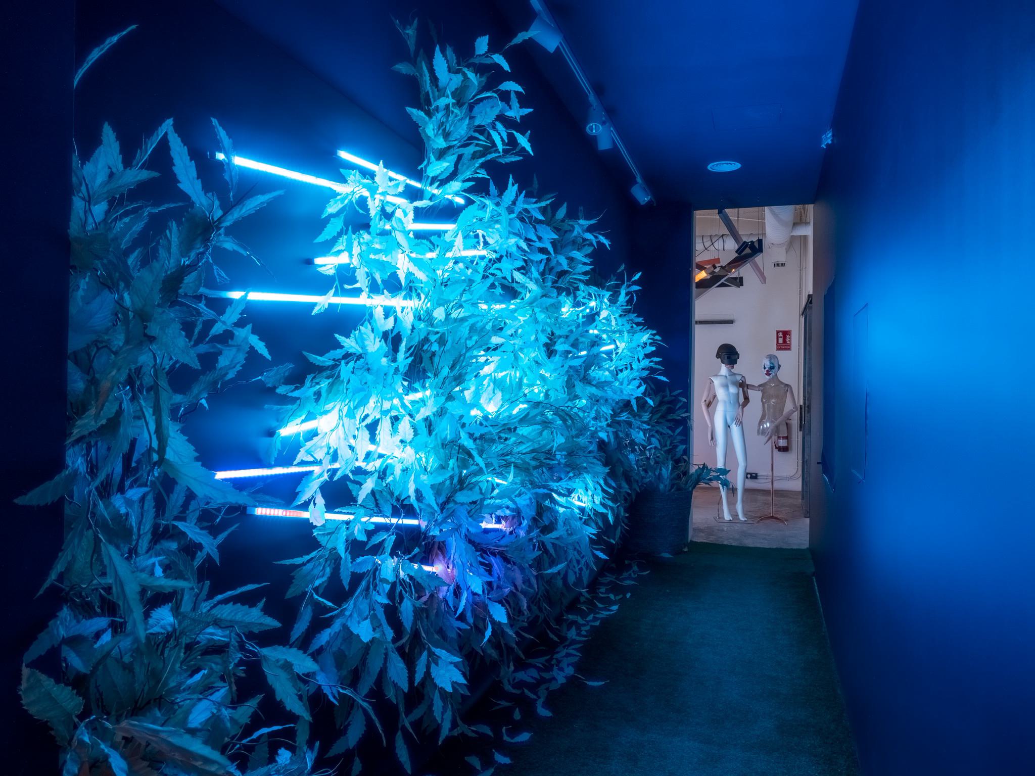 showroom_00010.jpeg
