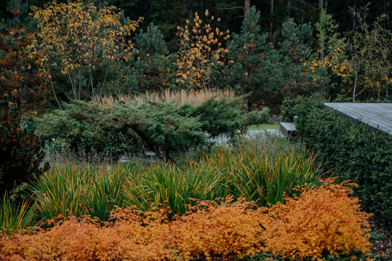 Северный сад