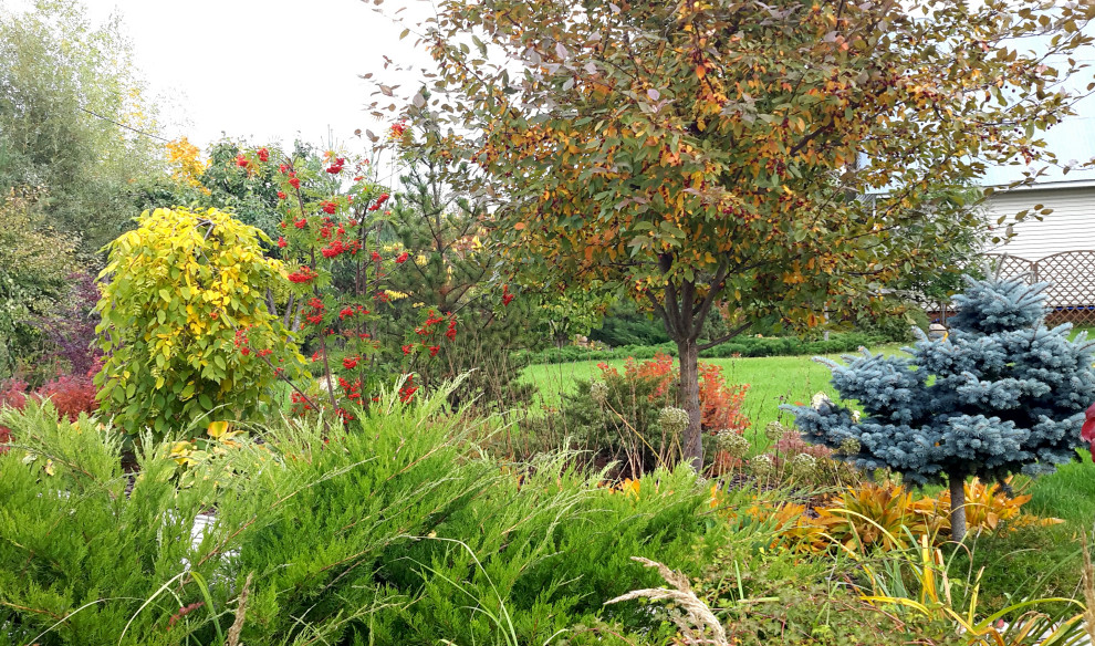 Сад на краю деревни.