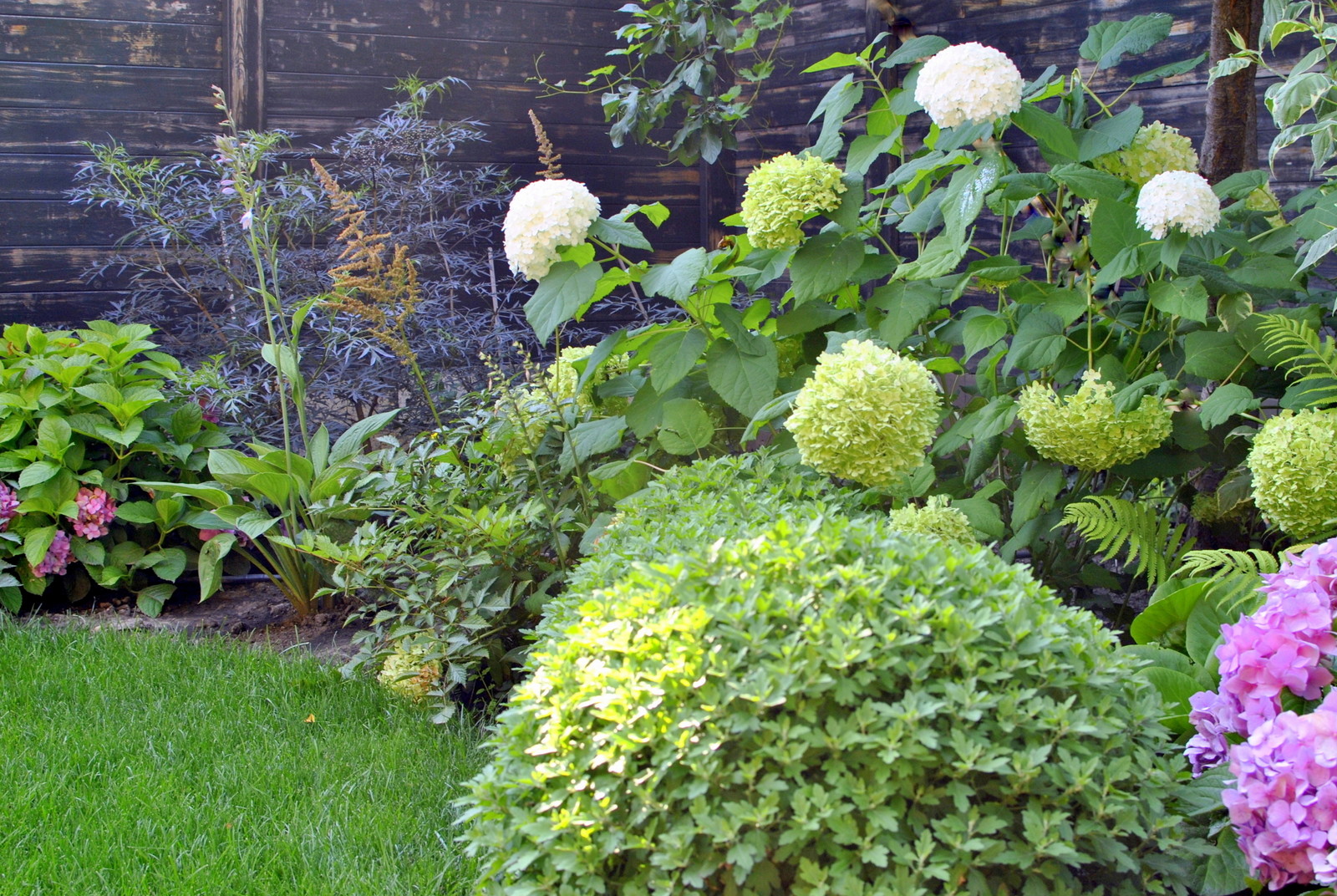 Сад с японскими интонациями.