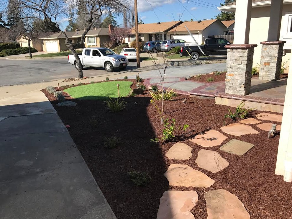 Front Yard Landscaping- Outdoor Lighting