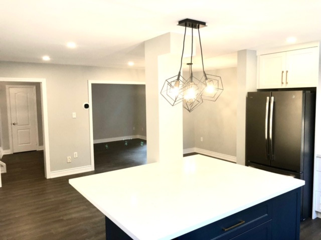 Mississauga Main Floor Remodeling Project