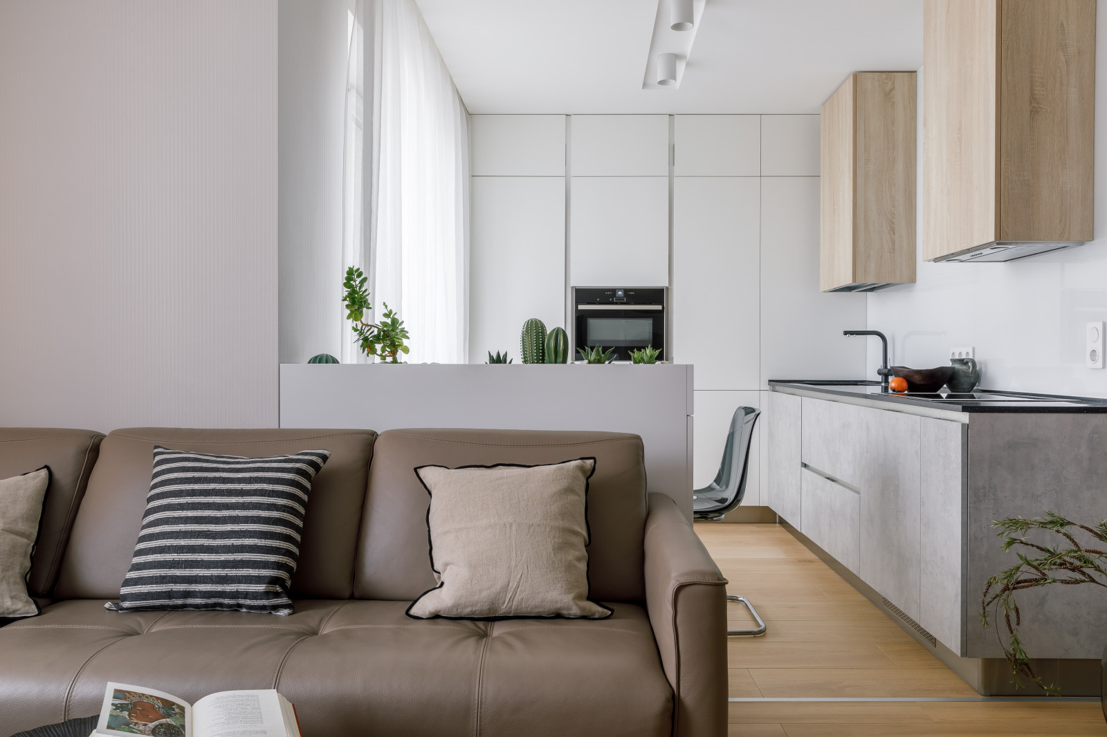 Точка белого(фотографии кухни-гостиной)