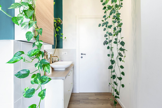 Ripa40 modern