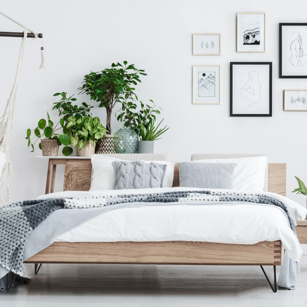 Cette photo montre une chambre scandinave.