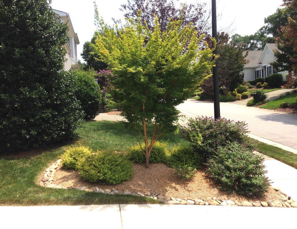 Photo of a traditional landscaping in Raleigh.