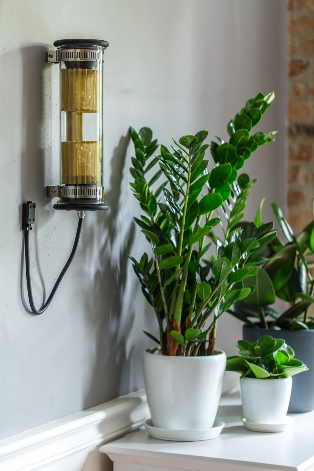 Квартира с котом