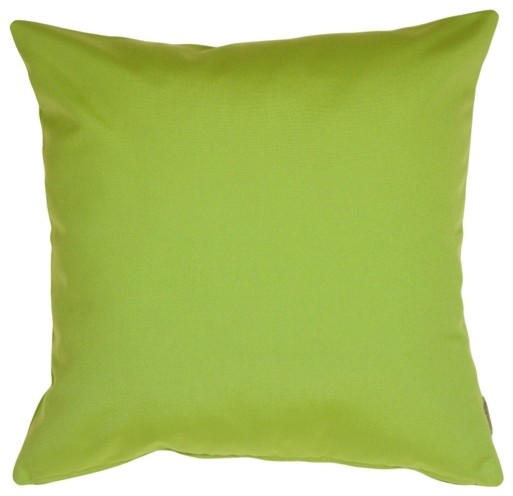 Pillow Decor - Sunbrella Solid Color Outdoor Pillow, Macaw Green, 20" X 20"