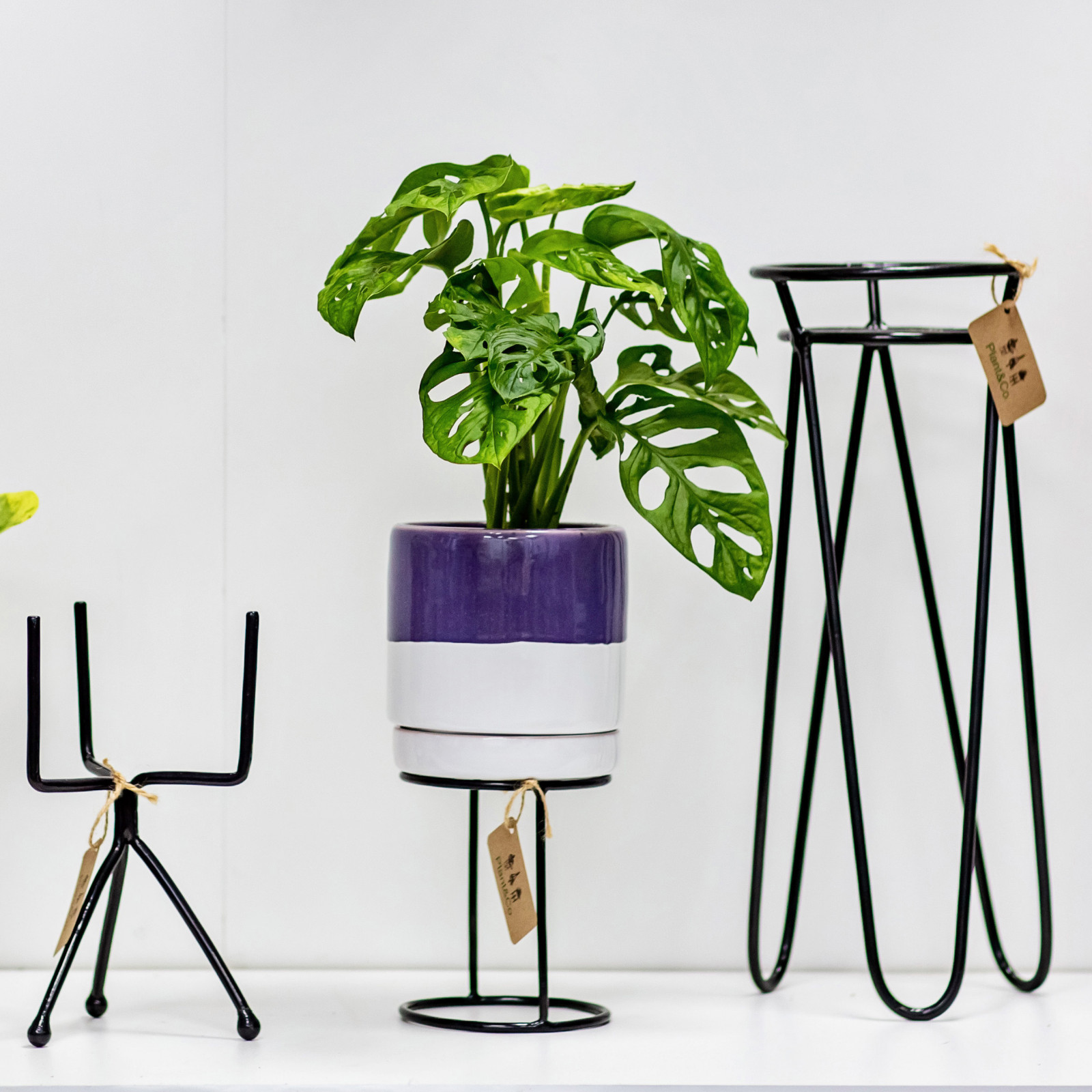 Металлические подставки Plant&Co