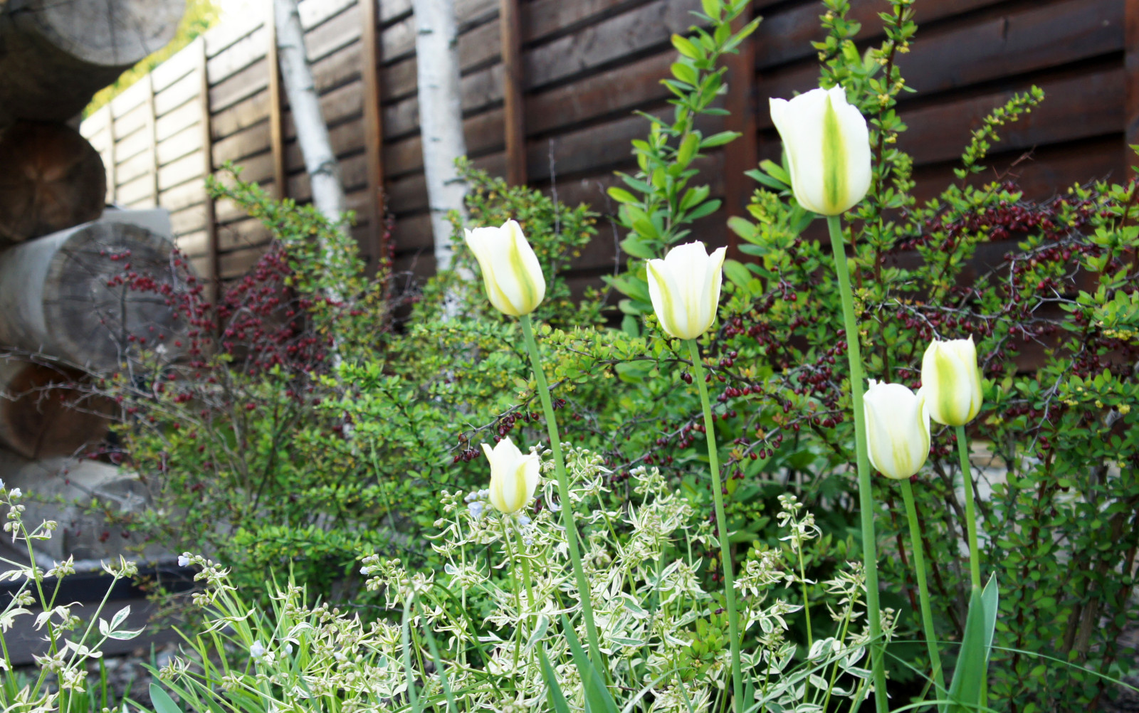 участок в Прохорово