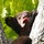bonnie_turner_estepp