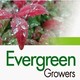 Evergreen Growers
