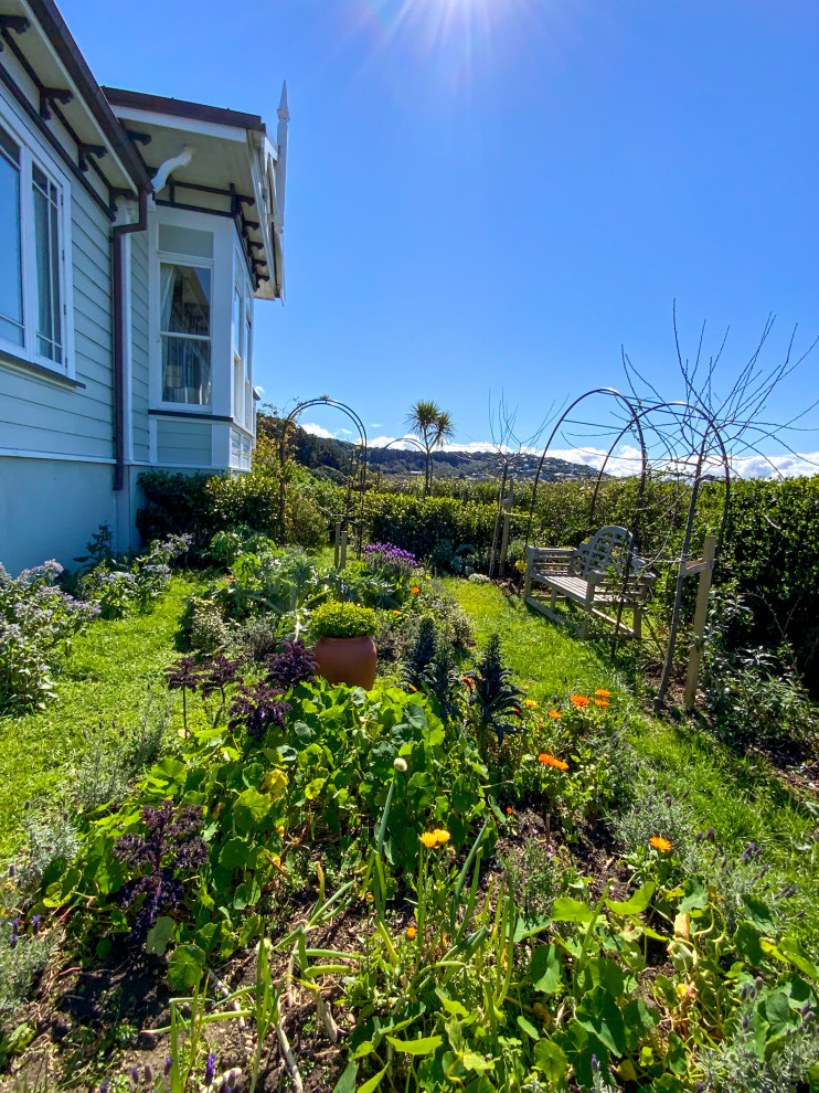 Foto di un piccolo giardino stile americano esposto in pieno sole davanti casa