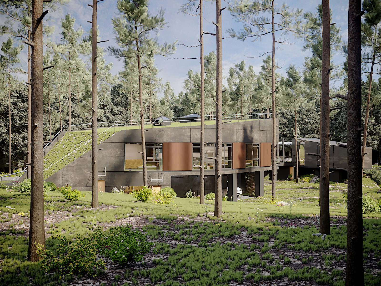 Проект частного дома в сосновом бору