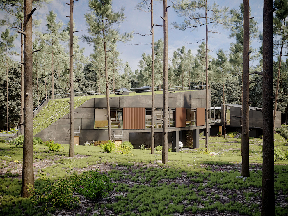 Проект частного дома в сосновом бору