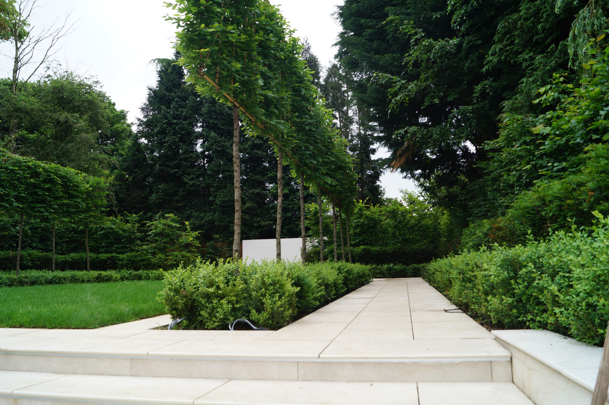 Contemporary Garden Leicester