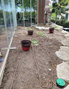 2023 71st Annual Flower Bed BEFORE