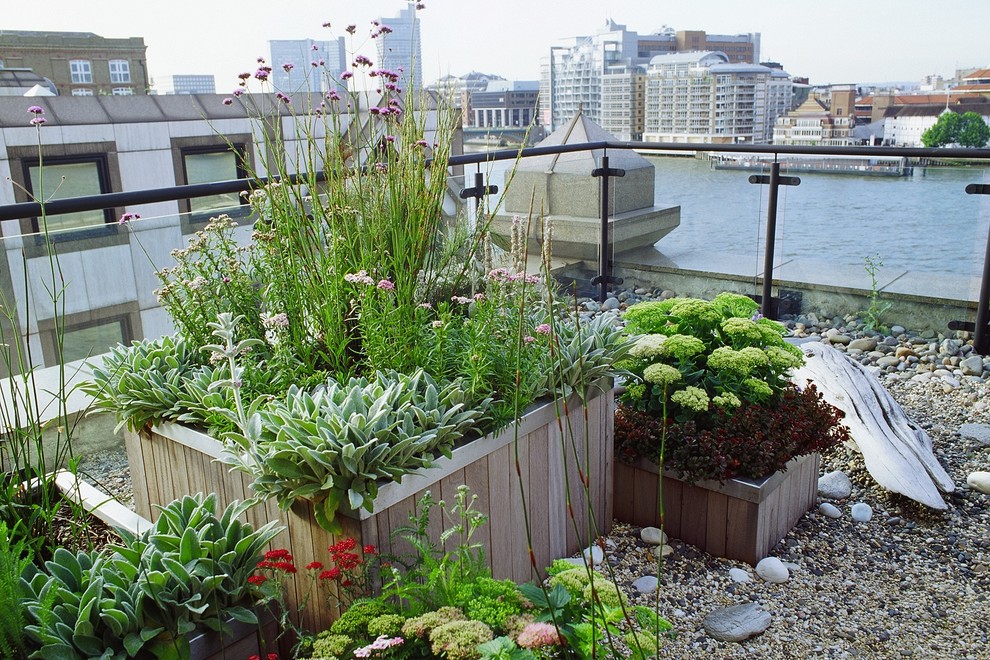 This is an example of a large beach style rooftop deck in London with a container garden and no cover.