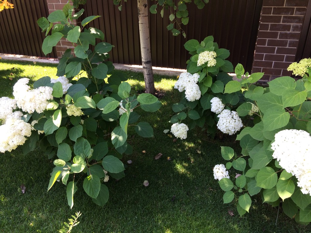 Вавиловец 1