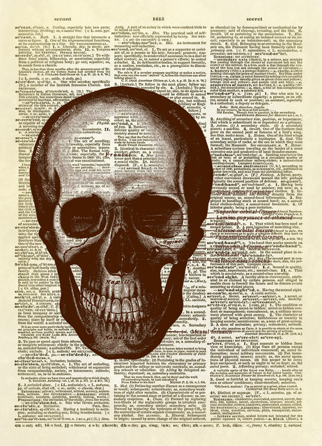 Gray's Anatomy Human Skull Diagram Dictionary Art Print, Sepia