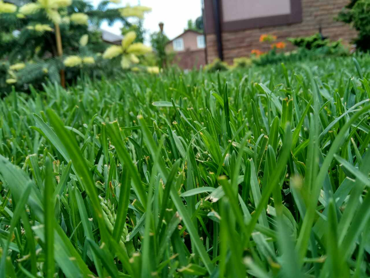 Ландшафтный дизайн