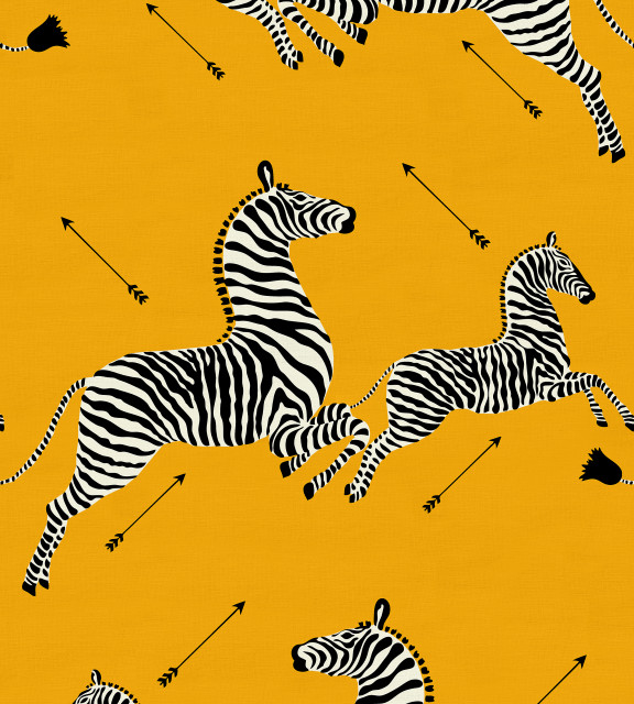 Zebras Outdoor Contemporary Outdoor Fabric by Scalamandre Houzz