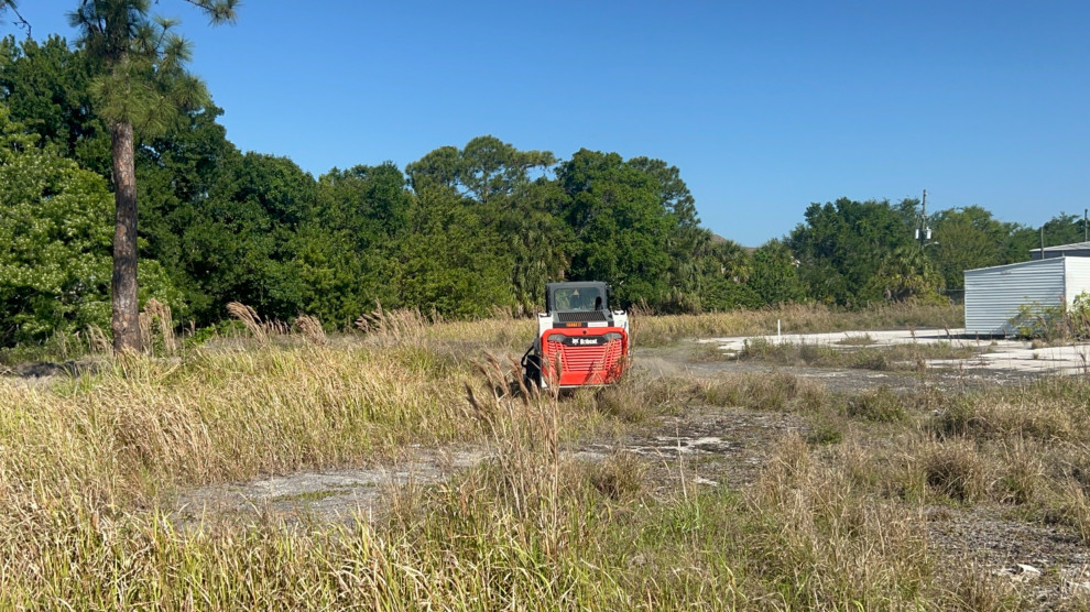 Commercial Landscape Clean- Up