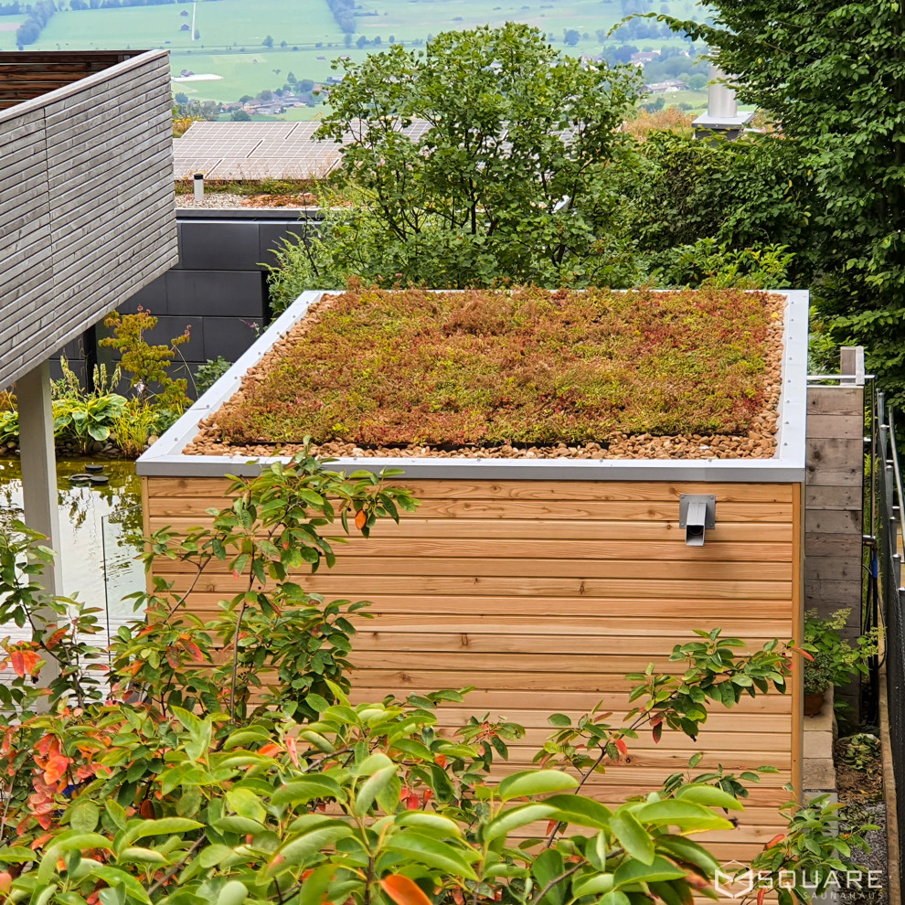 DesignSaunahaus Außensauna mit Dachbegrünung Contemporary Shed