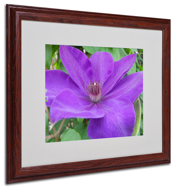 'Purple Flower' Matted Framed Canvas Art by Monica Fleet