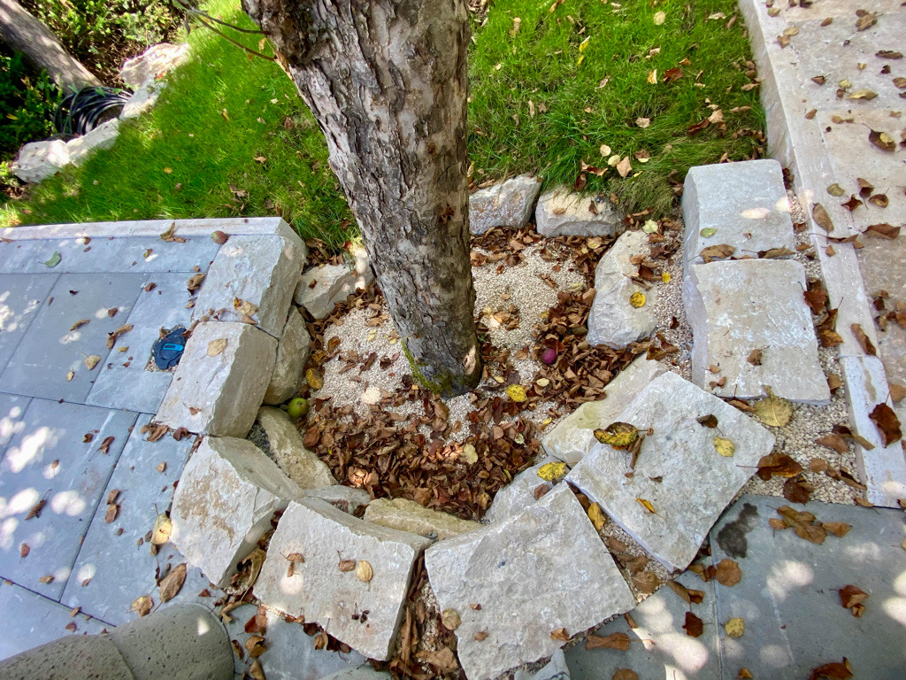 Gesamte Gartenanlage