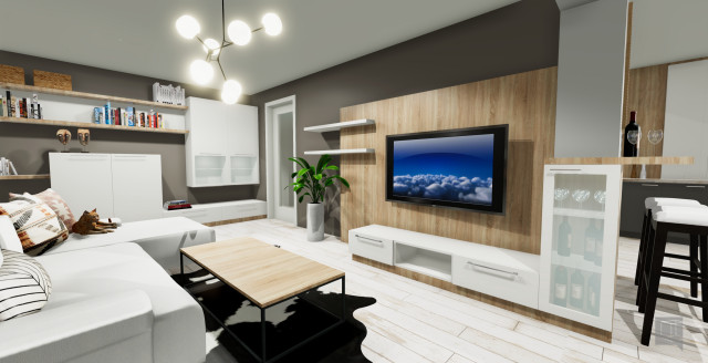 Studio family-room