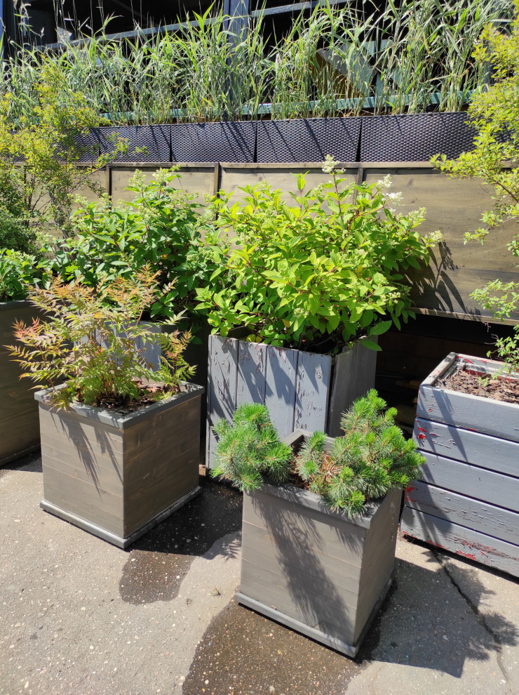 Бар  НеВинный