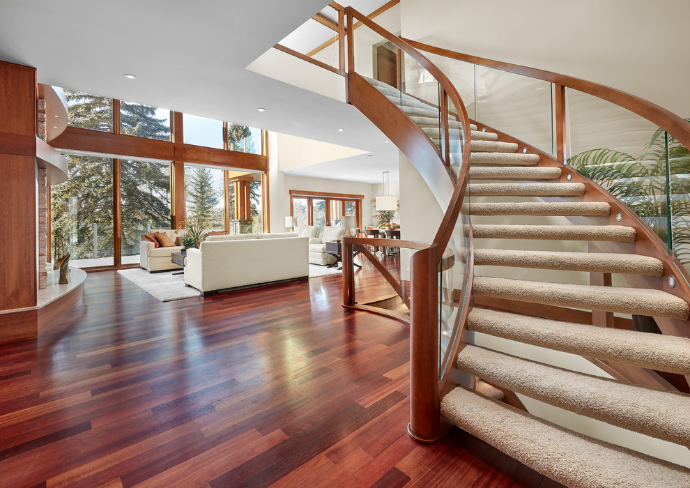 This is an example of a large contemporary carpeted curved staircase in Edmonton with open risers and glass railing.